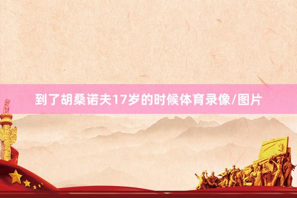 到了胡桑诺夫17岁的时候体育录像/图片