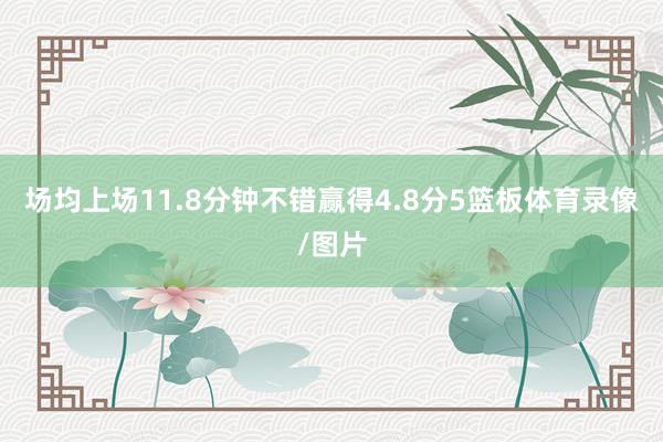 场均上场11.8分钟不错赢得4.8分5篮板体育录像/图片