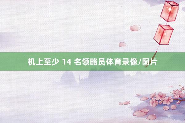 机上至少 14 名领略员体育录像/图片