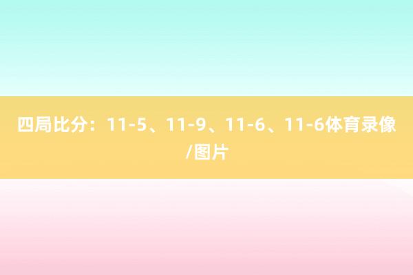四局比分：11-5、11-9、11-6、11-6体育录像/图片