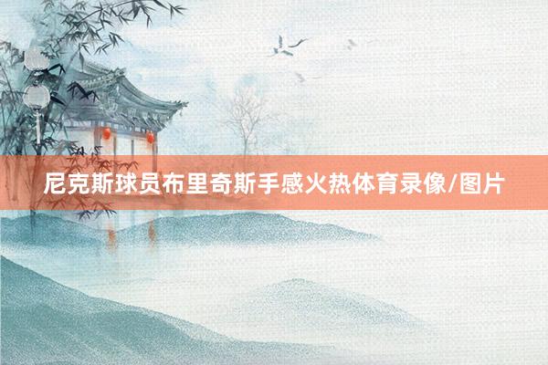 尼克斯球员布里奇斯手感火热体育录像/图片