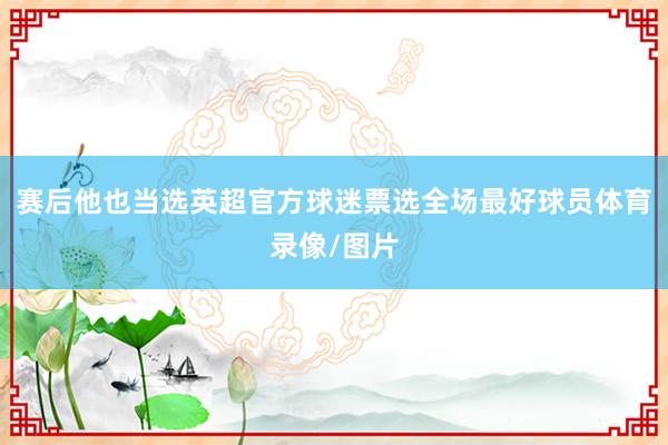 赛后他也当选英超官方球迷票选全场最好球员体育录像/图片