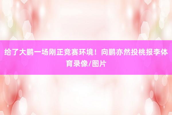 给了大鹏一场刚正竞赛环境！向鹏亦然投桃报李体育录像/图片