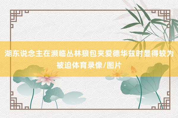 湖东说念主在濒临丛林狼包夹爱德华兹时显得较为被迫体育录像/图