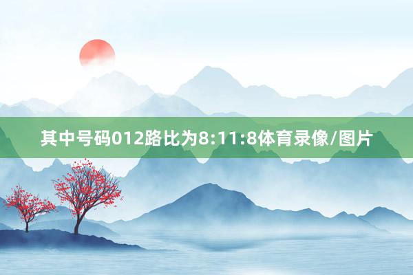 其中号码012路比为8:11:8体育录像/图片