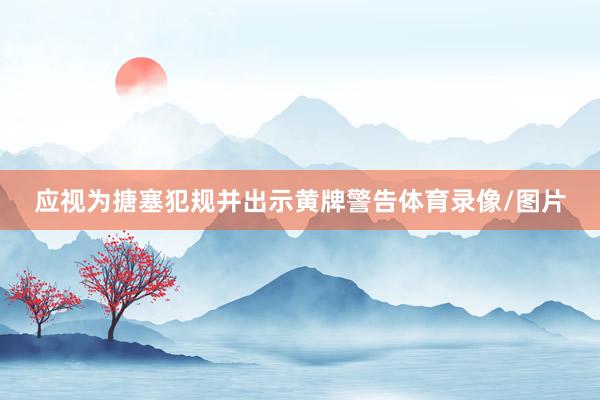 应视为搪塞犯规并出示黄牌警告体育录像/图片