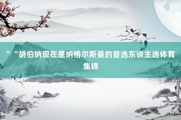 ”“胡伯纳现在是纳格尔斯曼的首选东谈主选体育集锦