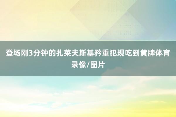 登场刚3分钟的扎莱夫斯基矜重犯规吃到黄牌体育录像/图片