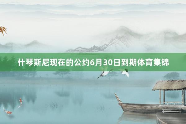 什琴斯尼现在的公约6月30日到期体育集锦