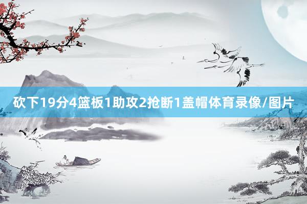 砍下19分4篮板1助攻2抢断1盖帽体育录像/图片