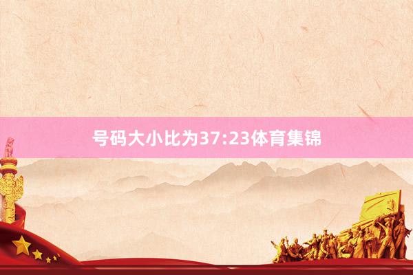 号码大小比为37:23体育集锦