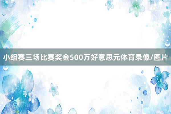 小组赛三场比赛奖金500万好意思元体育录像/图片