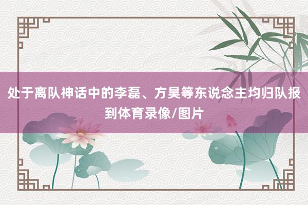 处于离队神话中的李磊、方昊等东说念主均归队报到体育录像/图片
