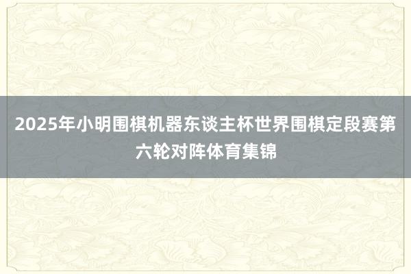 2025年小明围棋机器东谈主杯世界围棋定段赛第六轮对阵体育集