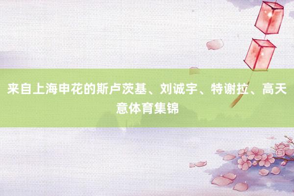来自上海申花的斯卢茨基、刘诚宇、特谢拉、高天意体育集锦