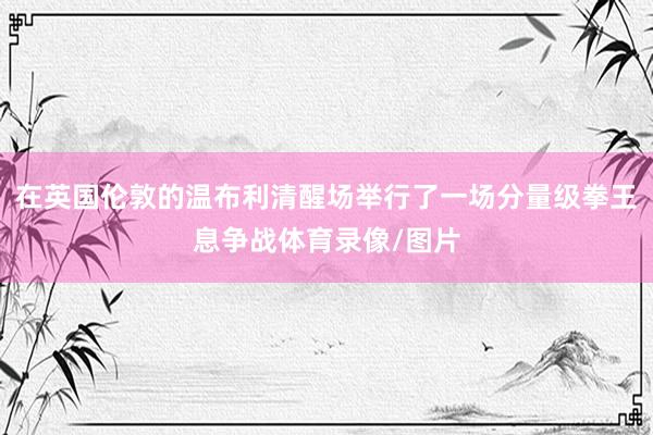 在英国伦敦的温布利清醒场举行了一场分量级拳王息争战体育录像/