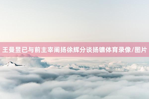 王曼昱已与前主宰阐扬徐辉分谈扬镳体育录像/图片