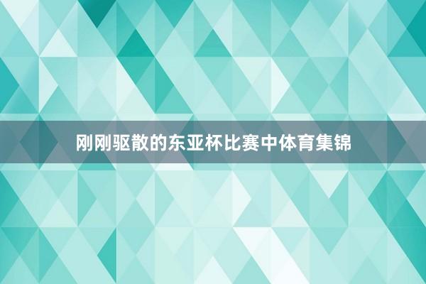 刚刚驱散的东亚杯比赛中体育集锦