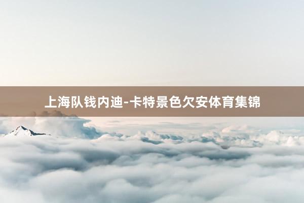 上海队钱内迪-卡特景色欠安体育集锦