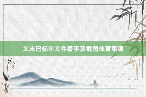 文末已标注文件着手及截图体育集锦