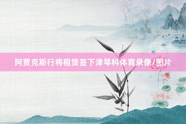 阿贾克斯行将租赁签下津琴科体育录像/图片