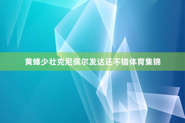 黄蜂少壮克尼佩尔发达还不错体育集锦