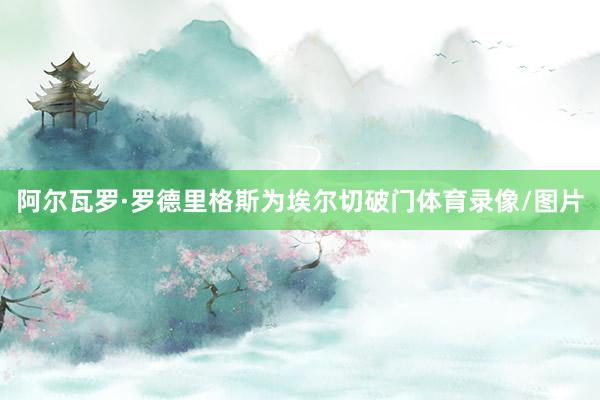 阿尔瓦罗·罗德里格斯为埃尔切破门体育录像/图片