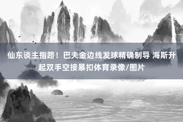 仙东谈主指路！巴夫金边线发球精确制导 海斯升起双手空接暴扣体