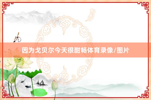 因为戈贝尔今天很酣畅体育录像/图片
