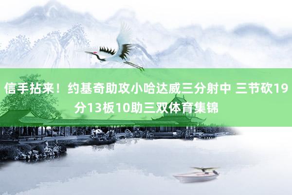 信手拈来！约基奇助攻小哈达威三分射中 三节砍19分13板10