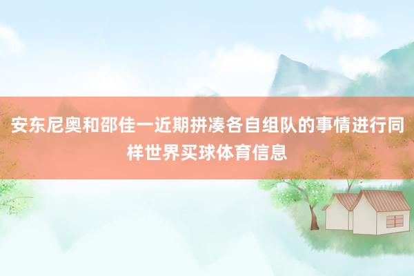 安东尼奥和邵佳一近期拼凑各自组队的事情进行同样世界买球体育信