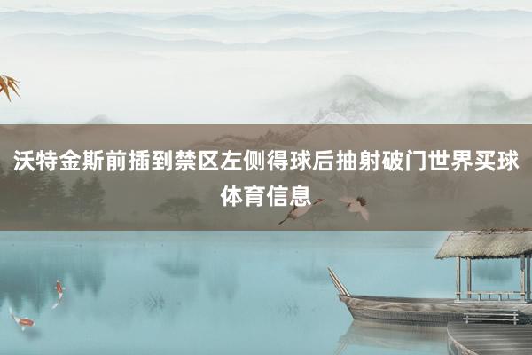 沃特金斯前插到禁区左侧得球后抽射破门世界买球体育信息
