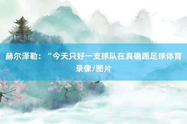赫尔泽勒:“今天只好一支球队在真确踢足球体育录像/图片