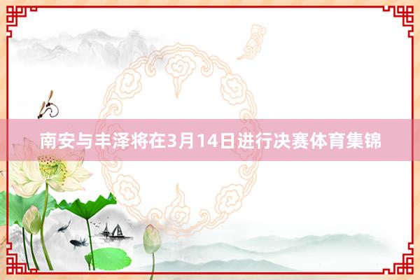 南安与丰泽将在3月14日进行决赛体育集锦