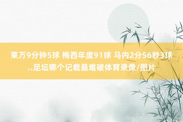 莱万9分钟5球 梅西年度91球 马内2分56秒3球..足坛哪个记载最难破体育录像/图片