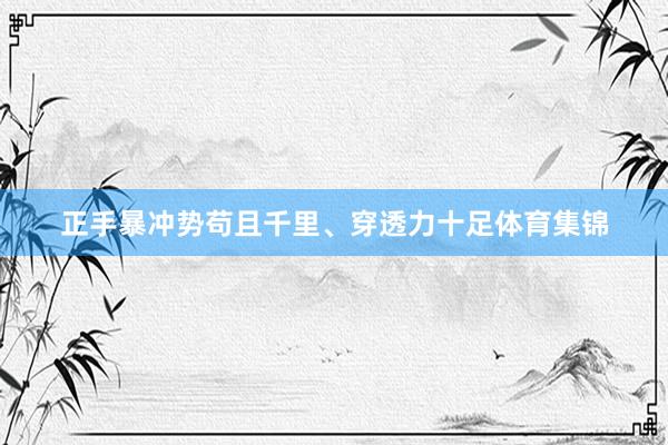 正手暴冲势苟且千里、穿透力十足体育集锦