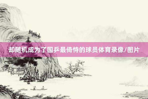 却随机成为了国乒最倚恃的球员体育录像/图片