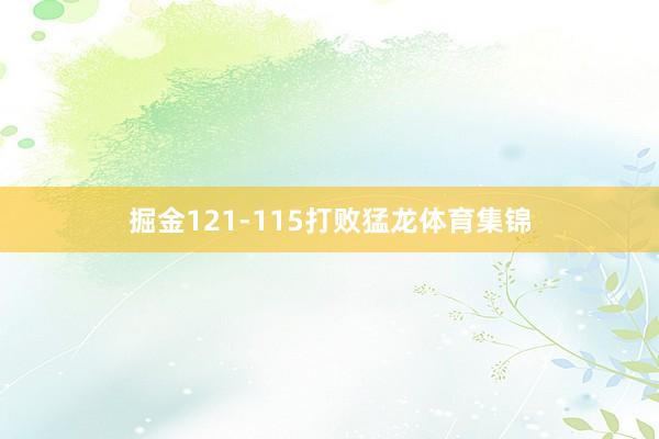 掘金121-115打败猛龙体育集锦