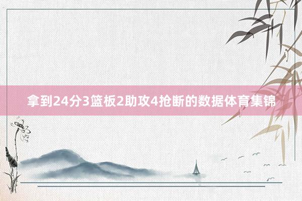 拿到24分3篮板2助攻4抢断的数据体育集锦