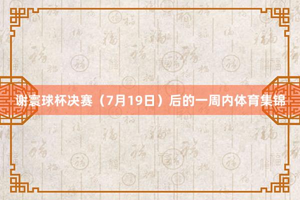谢寰球杯决赛（7月19日）后的一周内体育集锦