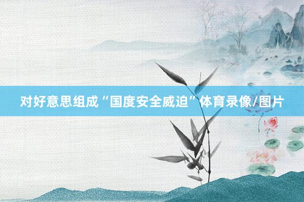 对好意思组成“国度安全威迫”体育录像/图片