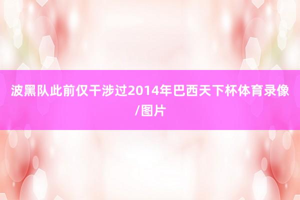 波黑队此前仅干涉过2014年巴西天下杯体育录像/图片